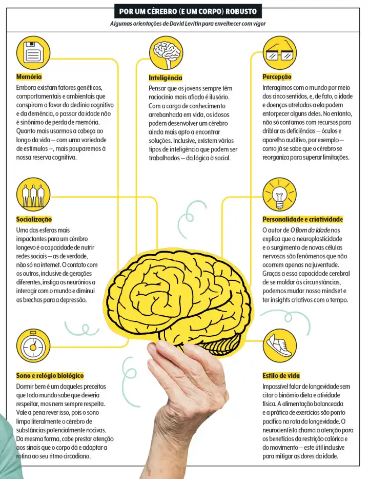 502-envelhecer-cerebro-quadro.webp